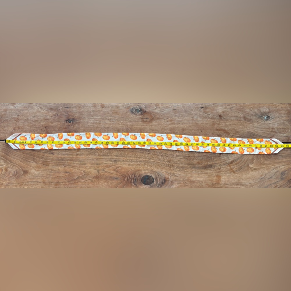 Pumpkin Twilly Scarf - Picture 8 of 9
